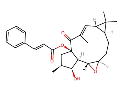 CAS 62820-12-6 - C29H36O5 structure
