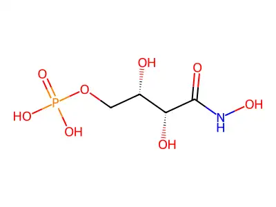 Butanamide, N,2,3-trihydroxy-4-(phosphonooxy)-, (2R,3S)- structure