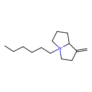 4-Hexyl-1-methyleneoctahydro-4lambda(5)-pyrrolizine structure