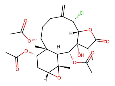 STYLATULIDE structure