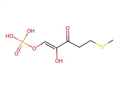 2-羟基-5-(甲硫基)-3-氧戊-1-烯基磷酸酯 structure