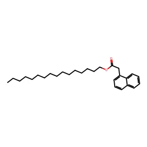 Adipamic acid structure