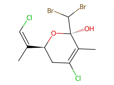 Costatone structure