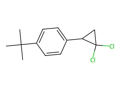 Benzene, 1-(2,2-dichlorocyclopropyl)-4-(1,1-dimethylethyl)- structure