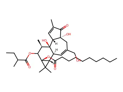 Phorbol caprate, (+)-(S)-2-methylbutyrate structure