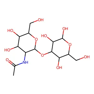 lacto-N-biose II structure