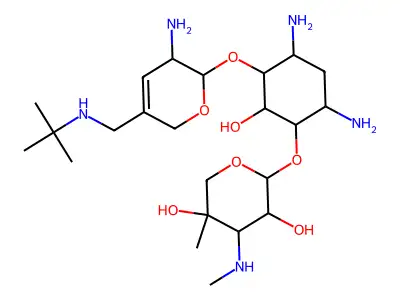 6'-N-t-Butylsisomicin structure