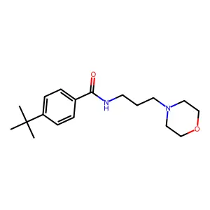 N-(3-Morpholin-4-ylpropyl)-4-tert-butyl-benzamide structure