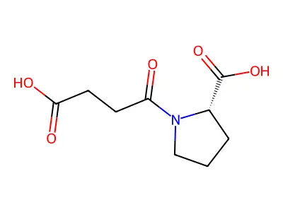 N-琥珀酰-L-脯氨酸 structure