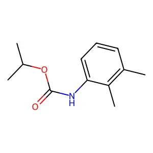 BP 16 structure