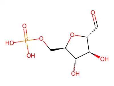 RefChem:371312 structure