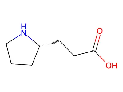 3-Pyrrolidin-2-yl-propionic acid structure