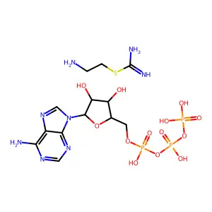 Adeturon structure
