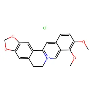 Berberine chloride structure