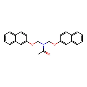 Acm-ATP structure