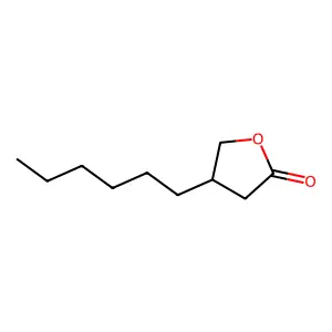2(3H)-Furanone, 4-hexyldihydro- structure
