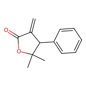 5,5-Dimethyl-3-methylidene-4-phenyloxolan-2-one structure