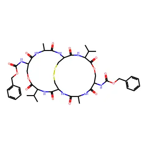 Bocanta structure