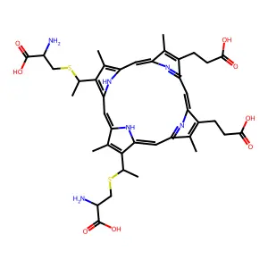 Porphyrin c structure