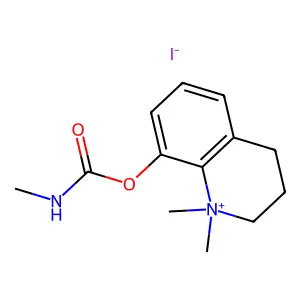 T 1973 structure