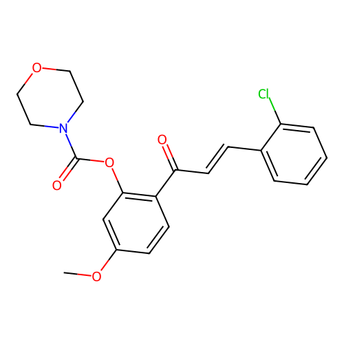 (E)-2-(3-(2-chlorophenyl)acryloyl)-5-methoxyphenyl morpholine-4-carboxylate structure