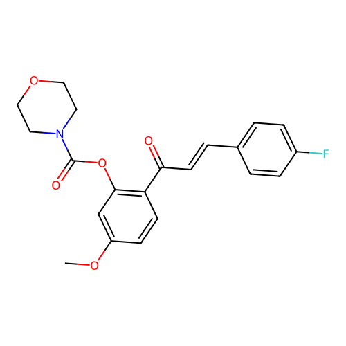 (E)-2-(3-(4-fluorophenyl)acryloyl)-5-methoxyphenyl morpholine-4-carboxylate structure