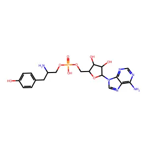 tyrosinyl-5'-AMP structure