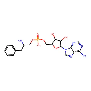 phenylalanyl-5'-AMP structure