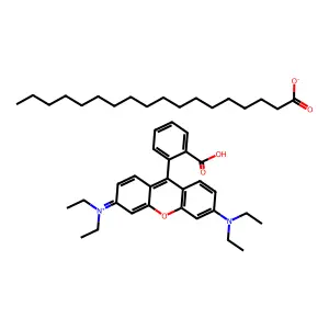 罗丹明B硬脂酸盐 structure
