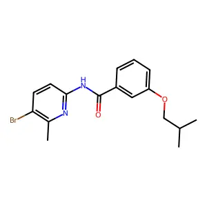 N-(5-bromo-6-methylpyridin-2-yl)-3-(2-methylpropoxy)benzamide structure