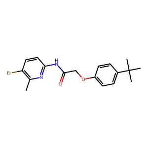 N-(5-bromo-6-methylpyridin-2-yl)-2-(4-tert-butylphenoxy)acetamide structure