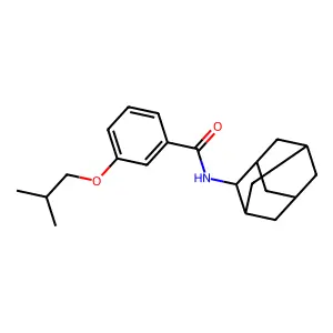 N-(2-金刚烷基)-3-(2-甲基丙氧基)苯甲酰胺 structure