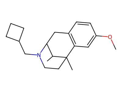 Win 23538 structure
