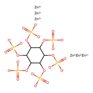 Zinc phytate structure