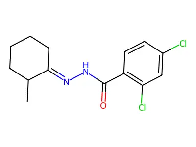 2,4-dichloro-N-[(2-methylcyclohexylidene)amino]benzamide structure