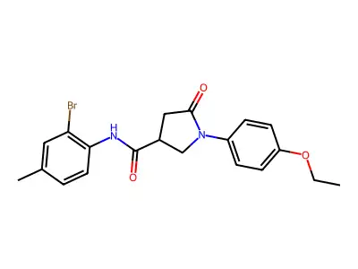 N-(2-bromo-4-methylphenyl)-1-(4-ethoxyphenyl)-5-oxopyrrolidine-3-carboxamide structure