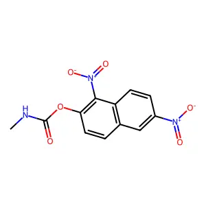 Carbamic acid, N-methyl-, 1,6-dinitro-2-naphthyl ester structure