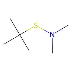 N-(叔丁基硫代)-N-甲基甲胺 structure