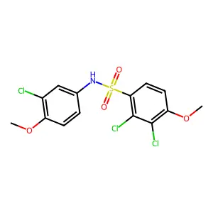 2,3-dichloro-N-(3-chloro-4-methoxyphenyl)-4-methoxybenzenesulfonamide structure