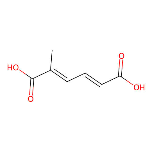 2-Methyl-trans-2,trans-4-hexadienedioic acid structure
