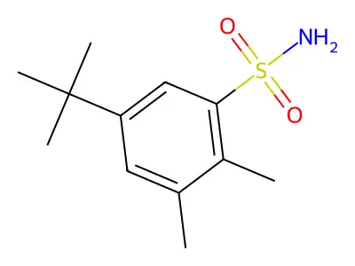 5-Tert-butyl-2,3-dimethylbenzenesulfonamide structure