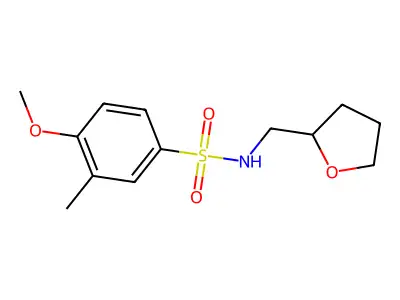 4-methoxy-3-methyl-N-(oxolan-2-ylmethyl)benzenesulfonamide structure