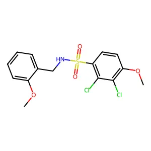2,3-dichloro-4-methoxy-N-(2-methoxybenzyl)benzenesulfonamide structure