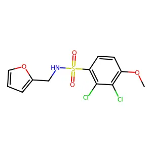 2,3-dichloro-N-(furan-2-ylmethyl)-4-methoxybenzenesulfonamide structure