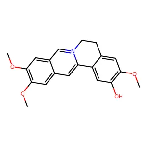 Pseudocolumbamine structure