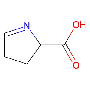 (S)-1-Pyrroline-5-carboxylate structure