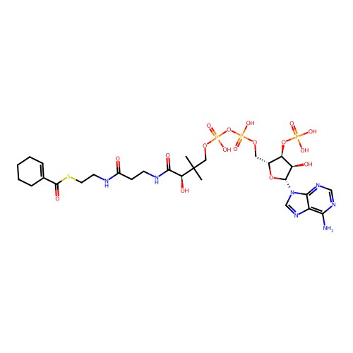 Cyclohex-1-ene-1-carbonyl-CoA structure