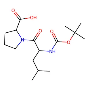 t-Butoxycarbonylleucylproline structure