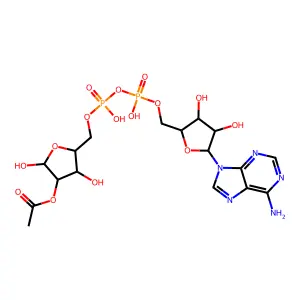J2.858.632I structure