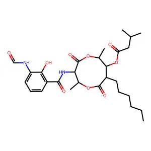 Animicin A structure